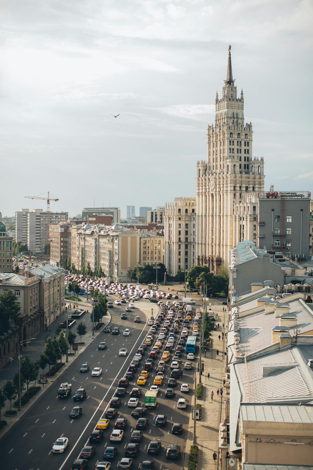 Количество зайцев на платной автомагистрали в Москве достигло 140 тысяч